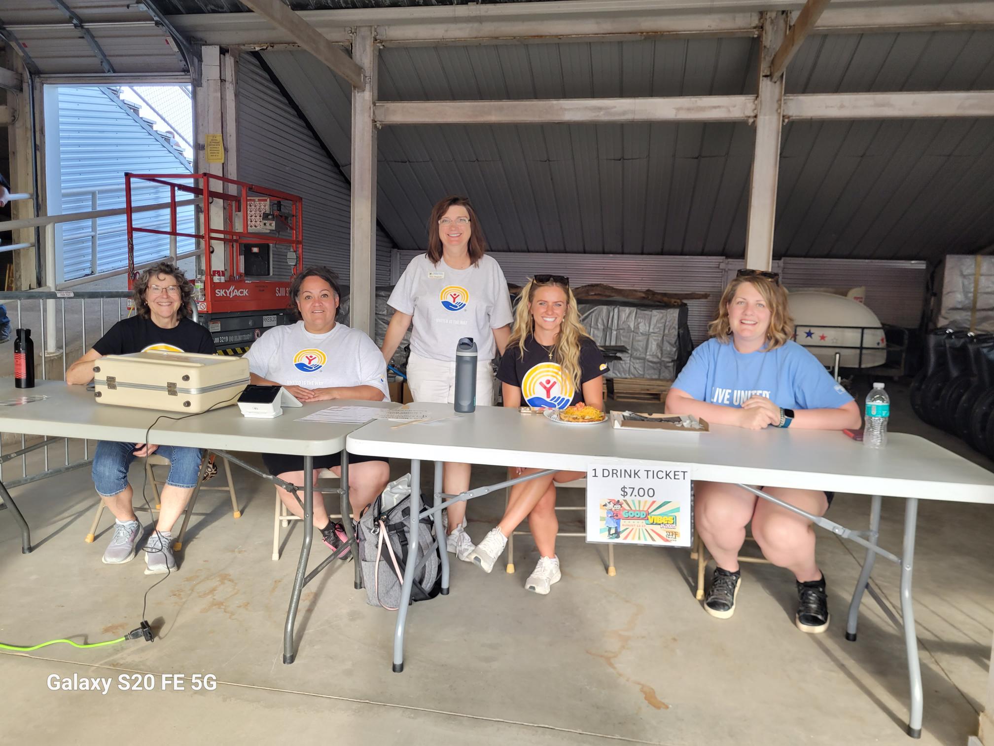 Local residents chatting over cookies and lemonade at a community volunteer fair in Owatonna.