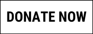 donate now